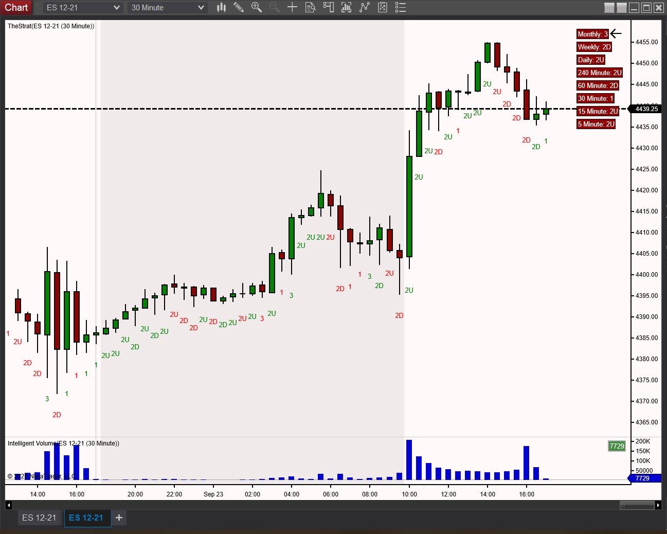 Click image for larger version

Name:	thestrat.jpg
Views:	500
Size:	152.4 KB
ID:	1172281